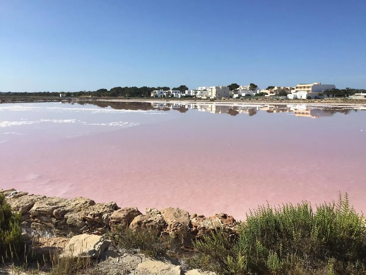 Best Location In Formentera! Licence Et-270 Pl La Savina  España